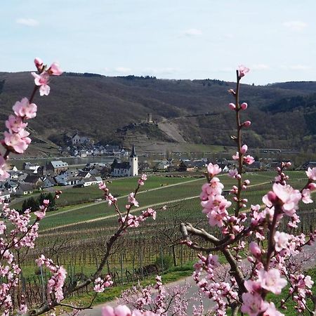 Gaestehaus Preuss Ellenz-Poltersdorf Eksteriør billede