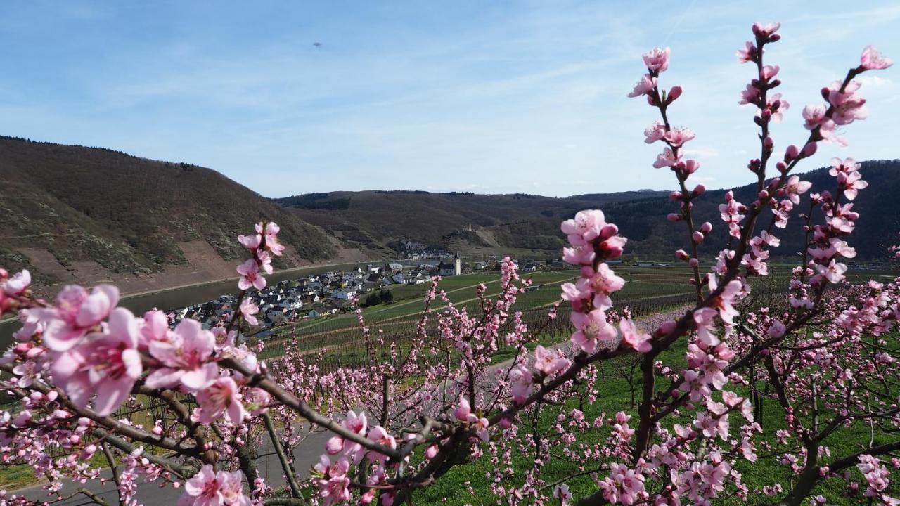 Gaestehaus Preuss Ellenz-Poltersdorf Eksteriør billede